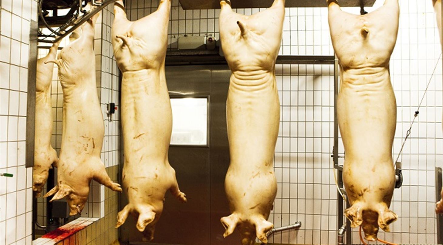Production hygiene